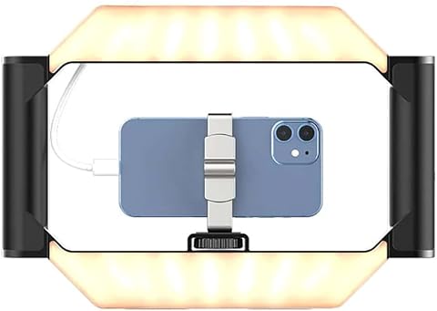 Ulanzi U-Rig Işıklı Telefon Video Rig Çerçeve