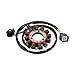 GOOFIT Generator Stator 12 Coil Replacement for KX250F KX250 KX252 KX250 KX450F KX450 KX 250F 250 252 450 450F KX 250F 4T 2011-2020 KX 450 F 2009-2018 21003-0168 21003-0147 21003-0102/0082