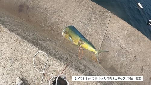 落し込みダブルギャフ（特許） キハダ取り込みシステム 4枚目