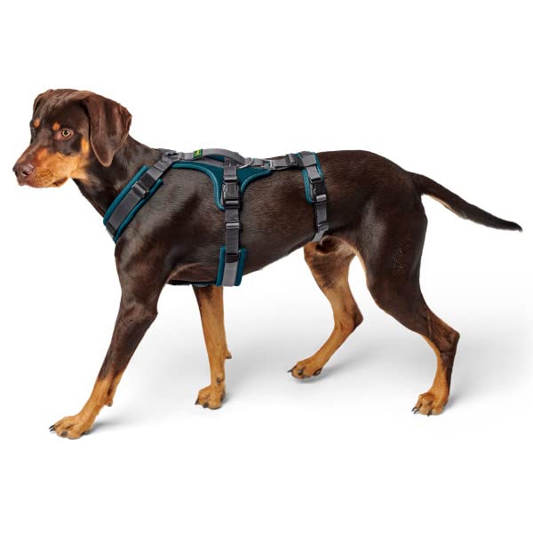 HUNTER Sicherheitsgeschirr Maldon Farbe Petrol/grau, Größe S-M