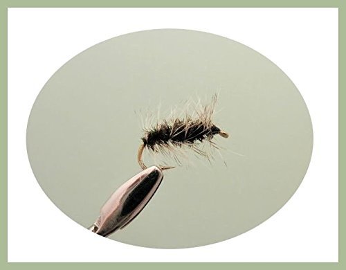 6 Pack of Griffiths Gnat Dry Trout Fishing Flies Choice (Mixed)