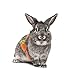 Kisangel Adorable Mini Pet Costume Bag for and Pets Cute Carrot Design for Holiday Parties Photoshoots Cosplay Comfortable Easy to Wear