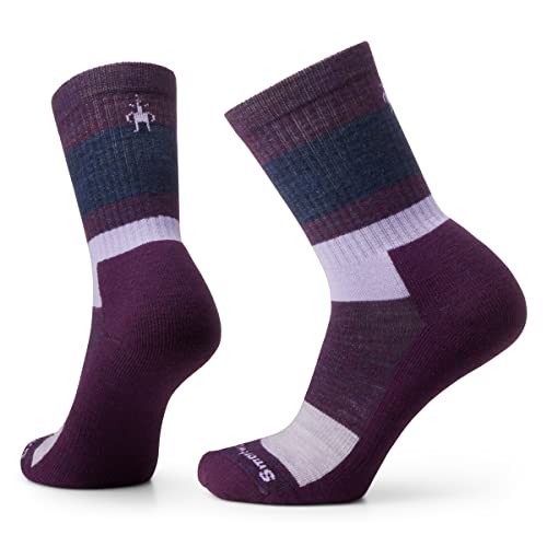 Smartwool Everyday Blocked Stripe Crew Socks Purple Iris XL (Men's Shoe 12-14.5)