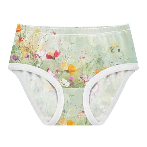 Colorful Wildflowers Cute Bird Girls' Underwear, Toddler Girl Panties, Girls Cotton Underwear, 2–8 Years