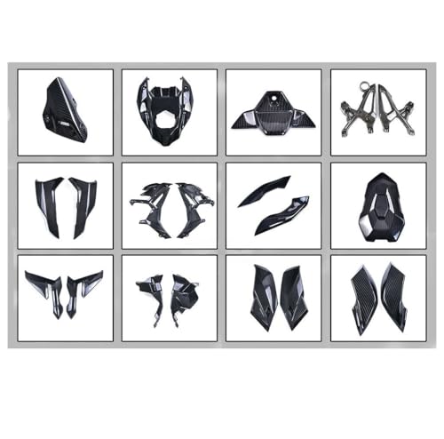 Ailes de carénage avant carbone M1000R pour un appui aérodynamique accru