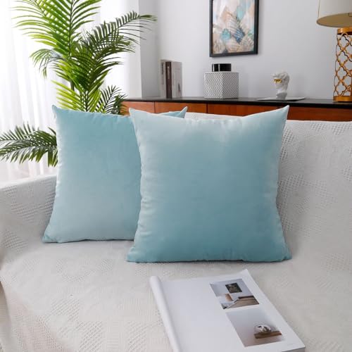 MoonRest - Pack of 2, Velvet Decorative Pillow Cover Set, Cozy Soft with Hidden Zipper Solid Color for Sofa Bedroom Car Couch Throw Pillow 22 x 22 Baby Blue