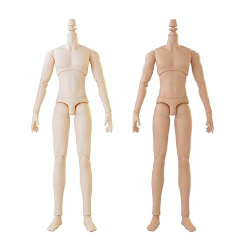 XiDonDon Male Body for Jointed SD BJD Doll ob22,ob24 GSC (25 White)