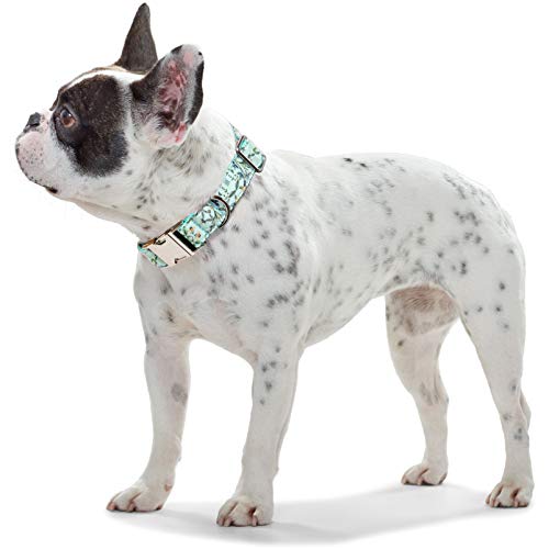 Timos Dog Collar For Small Medium Large Dogs,Adjustable Soft Puppy Collars With Metal Buckle,Printing Light Cyan,M Length 13.39''-20.87'' #TOP4