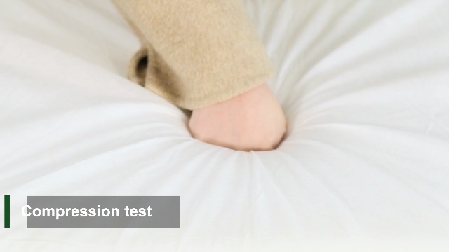 AAAAAcessories D-Shaped Chair Cushions, 2" Thick Dining Chair Pads with Ties and Removable, Machine-Washable Cover, 17" x 16", Set of 4, Pear Green