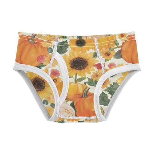Wusikd Pumpkins Sunflowers Boys' Underwear Cotton Watercolor Floral Boys Briefs Soft Toddler Underwear 2T