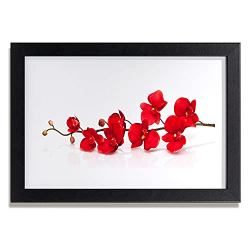 Image photo salon et chambre affiche avec cadre fleurs plantes Tulup