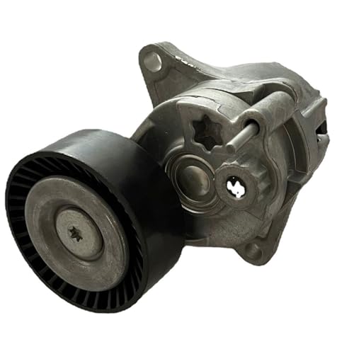 Tendeur de courroie d'alternateur 6112000270 pour resoudre sifflement moteur M112