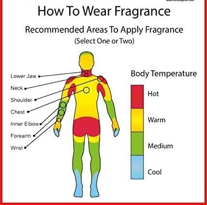 Miniatura 8 de Azafrán Attar Roll On Perfume, sin alcohol, Unisex, 0.2 fl oz