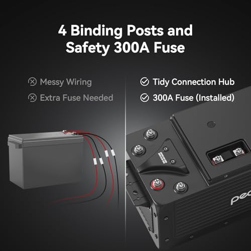 Image of PECRON WB12200 12V 200Ah LiFePO4, 2560Wh LiFePO4, App Control, Built-in 200A BMS for Off-Grid, Solar System, Camper