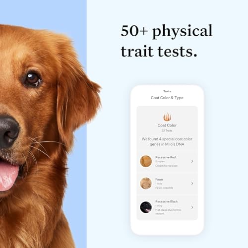 wisdom health essential dog dna kit  most accurate test  365 breeds  30 genetic health conditions  50 traits relatives ancestry  pack of 1