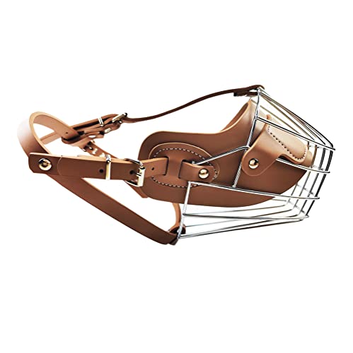 SUNCN ybg p C[oXPbg p  i  uE 2