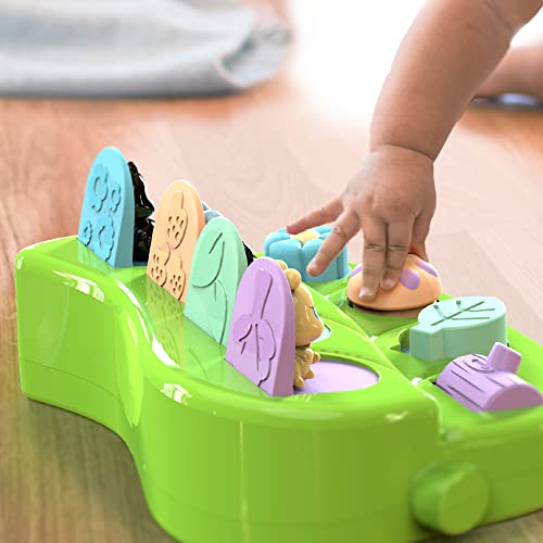 Pop Up Cause And Effect Toy - Toys For 9 Month Old +, Baby Toys, Early Developmental Toddler & Kids Gift - Toys For 1 Year Old Boy & Girl, Birthday, Montessori 12 Months To 1 2 3 Years #TOP3