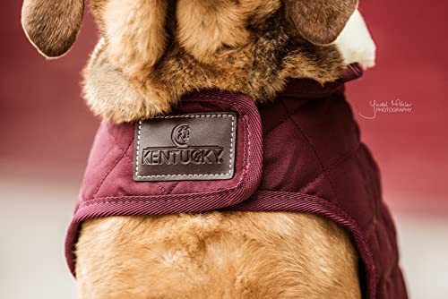 Kentucky - Hundemantel - Bordeaux - XS - 28-33cm