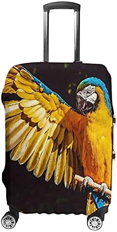 Amazon.com: Fundas para maletas para equipaje, guacamayos de loro, plumas  de pájaros, ramas tropicales, vida silvestre divertida, protege tu maleta  de la suciedad y los arañazos, se ajusta a gran tamaño, Blanco,