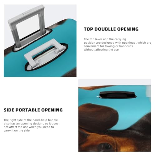 Luggage Cover Washable Elastic Suitcase Covers Dachshund Dog Travel Baggage Cover Fashion Anti-scratch Suitcase Protector Decoraitve Covers Fits 18-32 Inch Luggages Small4