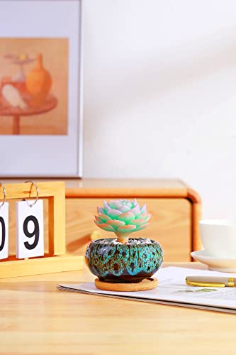 Lamdawn Cute Ceramic Succulent Pots, 3.7 Inches Planters With Drainage And Bamboo Tray, Set Of 5 -Plants Not Included (Vivid Colors) #TOP3