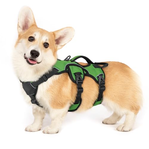 rabbitgoo Escape Proof Dog Harness, Soft Padded Vest with Lift Handle