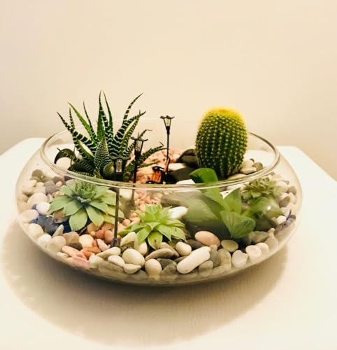 Image of Urli Bowl-Splendid Glass Spring Bowl for Home Decoration Table Centerpiece,Floral Arrangements,& Floating Candles | Wide-Mouth Transparent Vase for Wedding & Party Decorations (6 inch),1 L