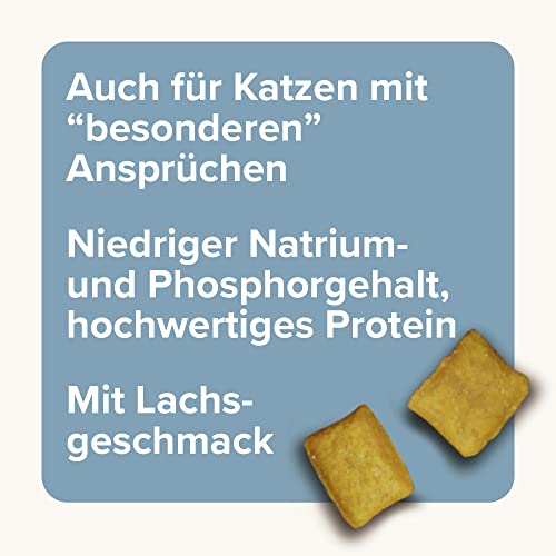 BEAPHAR - 'Nieren' Bits - Für Katzen - Niedriger Natrium- Und Phosphorgehalt, Hochwertiger Proteingehalt - Unterstützt Gesunde Nieren, Verbessert Allgemeine Gesundheit - 150 g