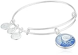 Alex and Ani Words are Powerful, Seas the Day EWB Shiny Silver Bangle Bracelet