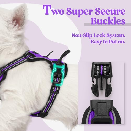 Image of rabbitgoo Dog Harness No Pull with 2 Leash Clips, Adjustable Soft Padded, Reflective Oxford No Choke Pet Vest with Easy Control Handle for Puppy, Purple,XS