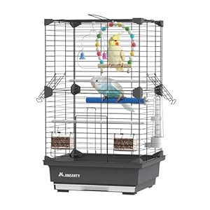 25 inch Small Square Bird Cage, Parrot Portable Cage, Temporary Cage, Bird Carrier, with Bird Standing Stick, Swing, Water Feeder, for Budgies, Zebra Finches, Small Pet Birds