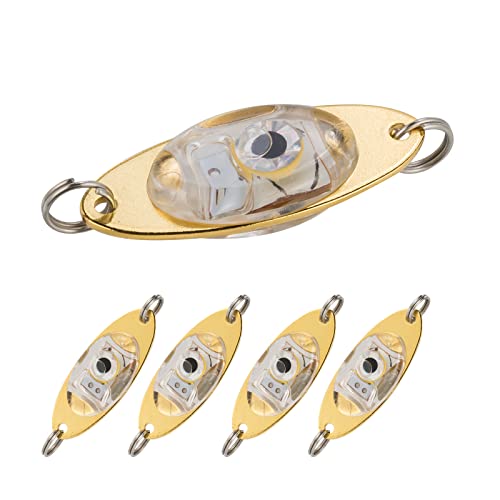 Leurre de pêche LED anti bredouille pour attirer les poissons en eau trouble