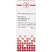 Produktbild DHU Gnaphalium polycephalum D2 Dilution, 50 ml Lösung