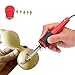 EVGATSAUTO 40W Electric Soldering Iron Set, Wood Burning Pen Engraving Carving Pyrography Tool with Multiple Tips, DIY Creation for Gourd, Wood, and Leather (AC110V US-regulated plug)
