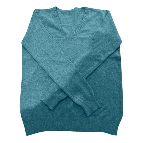 OIOLOYJM Fall Cashmere Sweaters for Women 2025 V Neck Long Sleeve Tops Knitted Pullovers Lightweight Merino Wool Sweater