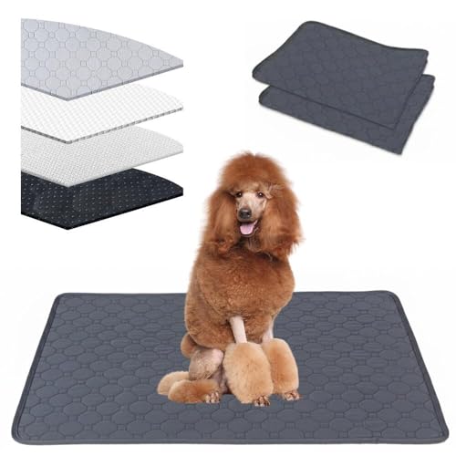 Lifetips X^_[hEv[hiStandard Poodlej 􂦂ybgV[c ybgV[c 􂦂 2Zbg ~ V[cCh V[g L ۂƐ􂦂 ~}bg ld\ Rh~  ~ ^ ^ 