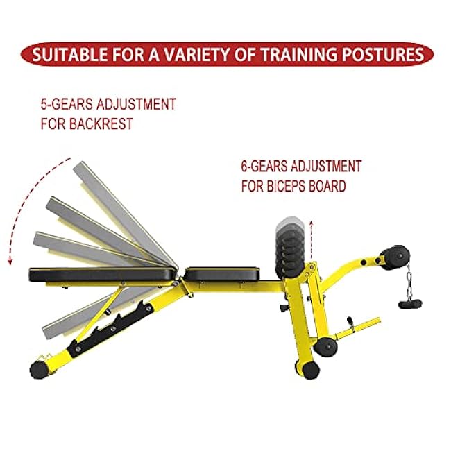 Utility Weight Bench with Leg Extension - Multi-Position Adjustable Bench for Strength Training, Dumbbell Exercise and Ab Workouts