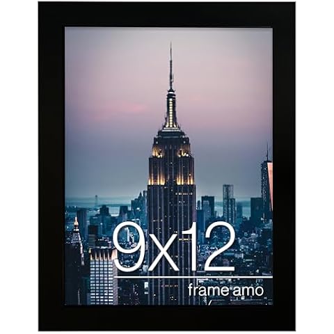 Frame Amo 9x12 Black Picture Frame Cover