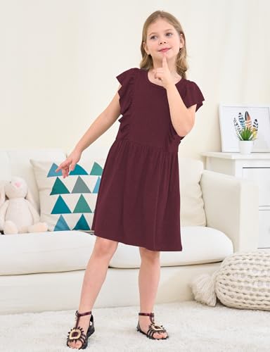 Jimonda Girls Dress Ruffle Sleeve Toddler School Skater Dress for Kids 2-8Y2