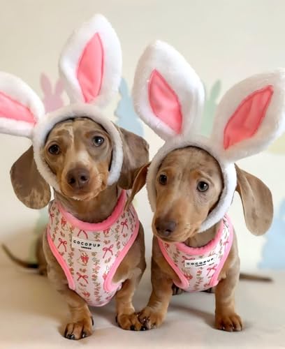 Diadema Orejas de Conejo para Perros Pequeños miniatura 7