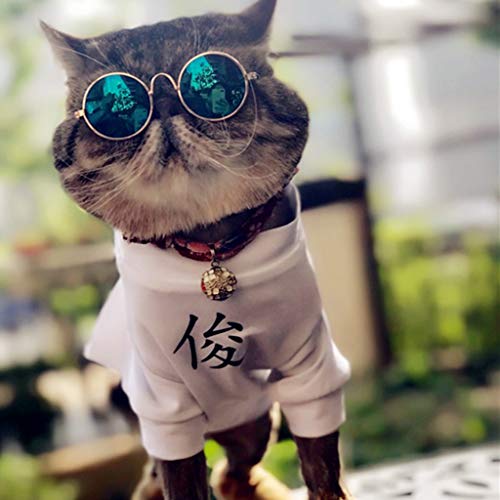 PULABO Óculos de Sol para Animais de Estimação Pequenos Gatos Óculos de Sol Universal Protetor para