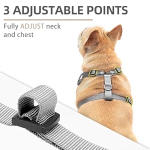 PUPTECK Dog Harness and Leash Set for Small Medium Dogs No Pull, Soft Mesh Adjustable Puppy Cat Harness Reflective at Night, Grey XS PUPTECK Dog Harness and Leash Set for Small Medium Dogs No Pull, Soft Mesh Adjustable Puppy Cat Harness Reflective at Night, Grey XS