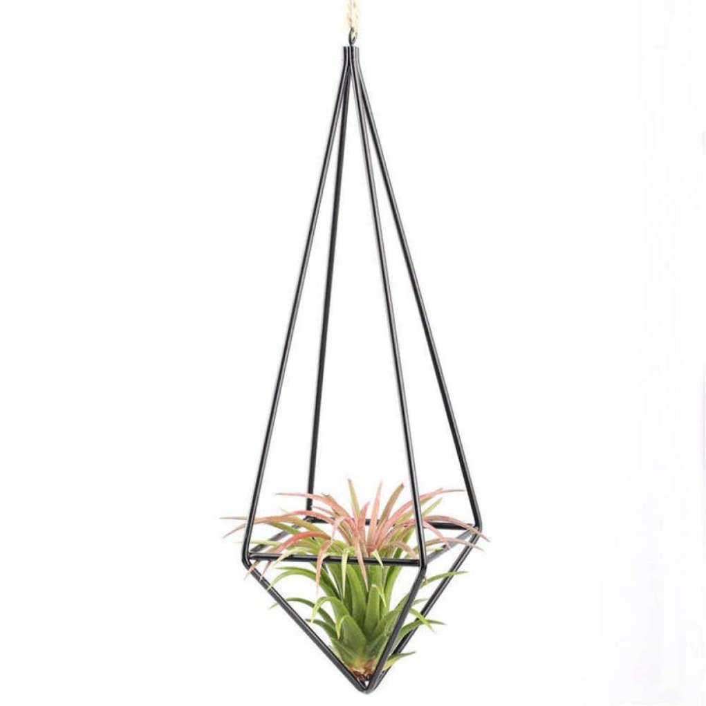 Peosaard Hanging Plant Rack Rustic Art Style Freestanding Tillandsia Air Plant Rack Holder for Tillandsia Airplants Display, Hanging