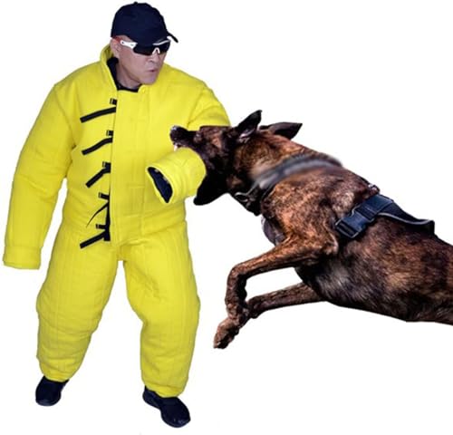 9 Migliori Guinzagli Per Cani Per Estrattori - WAF - 9