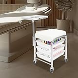 Beau - Carrito de manicura con ruedas - Elegante diseño de cactus para almacenamiento de herramientas para un fácil movimiento y nización, perfecto para técnicos de uñas y salones