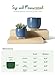 LE TAUCI Ceramic Plant Pots, 5.1 + 6.4 Inch Footed Pots for Plants, Modern Flower Pots for Home and Office, Indoor Planters with Drainage, Reactive Glaze Blue