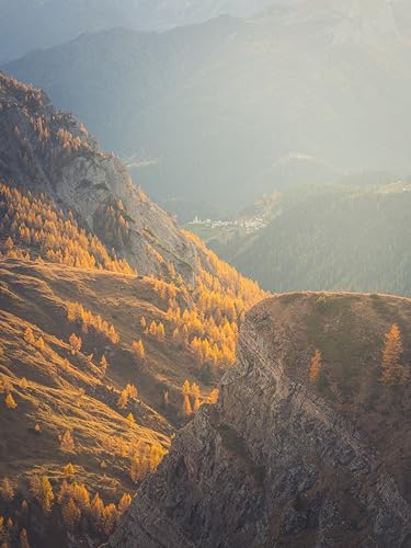 OM SYSTEM M.Zuiko Digital ED 40-150mm F4‑5.6 Objetivo, Telezooom, Compatible con Todas Las cámaras MFT (Olympus OM-D & Modelos Pen, Serie Panasonic G), Plateado - imagen 4