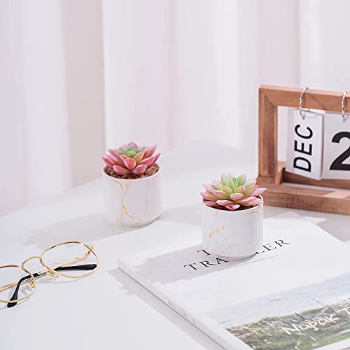 zenmag-Succulents-Plants-Artificial-Mini-Fake-Succulents-in-White-Ceramic-Pots-for-Desk-Livingroom-Bathroom-and-Home-Decoration-Office-Decor-for-Women-Set-of-2-Artificial-Succulents