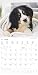 Hunde 2024 - Broschürenkalender 30x30 cm (30x60 geöffnet) - Kalender mit Platz für Notizen - Dogs - Bildkalender - Wandkalender - Hundekalender