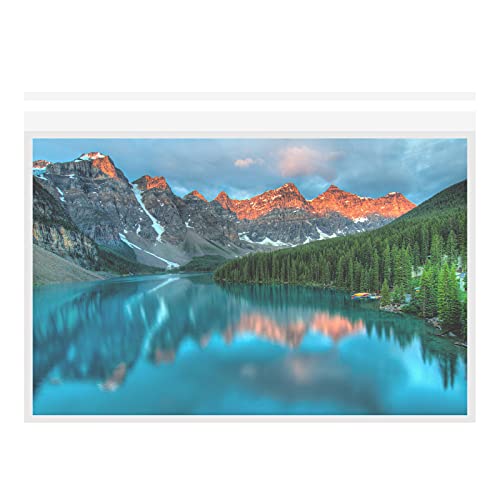 Clear Bags for Art Prints & Photos Acid Free Self Seal Print Sleeves Poster Sleeves - 50-Pack